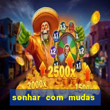 sonhar com mudas de plantas